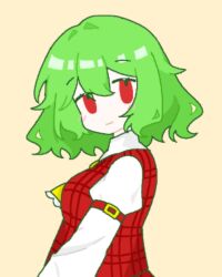  1girl arm_strap ascot commentary_request cropped_torso from_side green_hair kazami_yuuka long_sleeves looking_at_viewer medium_hair red_eyes shirt solo touhou white_shirt xueyun_sc yellow_ascot yellow_background 