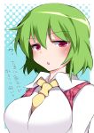  1girl ascot blush breasts commentary green_hair hammer_(sunset_beach) kazami_yuuka large_breasts looking_at_viewer plaid plaid_vest red_eyes short_hair simple_background solo touhou translated 