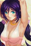  1girl armpits arms_up bikini blush breasts cleavage green_eyes large_breasts long_hair looking_at_viewer love_live!_school_idol_project purple_hair shuizhanglang smile solo swimsuit toujou_nozomi twintails 