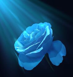  absurdres blue_flower blue_rose blue_theme flower flower_focus highres no_humans object_focus original plant plant_focus realistic rose shadow still_life yu02257951 