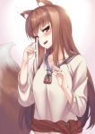  1girl animal_ears brown_hair bust collarbone holo long_hair looking_at_viewer pouch red_eyes sengoku_aky solo spice_and_wolf tail very_long_hair wolf_ears wolf_tail 