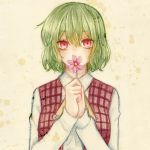  1girl ascot bust collared_shirt covering_mouth flower green_hair hi_osamu holding holding_flower kazami_yuuka long_sleeves looking_at_viewer plaid plaid_vest red_eyes simple_background solo touhou 