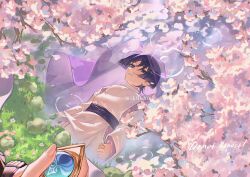  1boy anemo_symbol_(genshin_impact) arms_at_sides artist_name black_hair black_sandals black_shorts blue_gem blunt_ends bow cherry_blossoms choppy_bangs clothing_cutout clouds cloudy_sky colored_inner_hair different_reflection fingernails flower furisode gem genshin_impact grass grey_eyes highres holding holding_gem japanese_clothes kariginu kimono layered_sleeves long_sleeves looking_at_reflection looking_at_viewer male_focus mik0chn multicolored_hair outdoors pants parted_lips pelvic_curtain petals pink_kimono pink_petals pink_sleeves pink_veil pond pov purple_bow purple_hair purple_sash reflection reflective_liquid ripples rock sandals sash scaramouche_(genshin_impact) scaramouche_(kabukimono)_(genshin_impact) see-through_clothes see-through_veil shorts shoulder_cutout sky solo toenails toes tsurime veil wanderer_(genshin_impact) watermark white_flower white_mouth white_pants white_sleeves zouri 