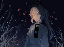  1girl branch grey_eyes grey_hair hair_between_eyes hashtag-only_commentary hat long_hair long_sleeves mononobe_no_futo night outdoors parted_lips pom_pom_(clothes) ponytail shirt sidelocks smile solo tate_eboshi touhou tree upper_body white_shirt wssjzwcmd 