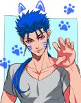 1boy fate/stay_night fate_(series) lancer long_hair paw_pose paw_print ponytail red_eyes sirou69 solo whiskers 