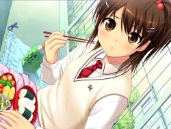  1girl bento bishoujo_(game) blush brown_eyes brown_hair chopsticks dutch_angle food game_cg hair_bobbles hair_ornament hairclip necktie nonohara_miki omelet onigiri school_uniform side_ponytail solo sweater_vest tamagoyaki watase_tamaki 