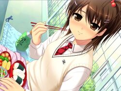  1girl bento bishoujo_(game) blush brown_eyes brown_hair chopsticks dutch_angle food game_cg hair_bobbles hair_ornament hairclip necktie nonohara_miki onigiri school_uniform side_ponytail smile solo sweater_vest watase_tamaki 