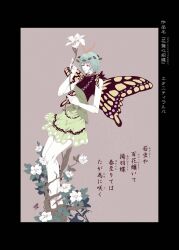  1girl antennae aqua_hair black_border border brown_background brown_eyes butterfly_wings commentary_request dress eternity_larva flower flower_request green_dress highres holding holding_flower insect_wings leaf leaf_on_head plant_roots touhou translation_request wings yamada_satoshi 