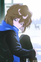  1girl absurdres animal bisho_imobing_hito black_coat black_pantyhose blue_eyes blue_scarf brown_hair closed_mouth coat commentary_request deer haibara_ai hair_between_eyes highres knees_up long_sleeves meitantei_conan pantyhose scarf short_hair sitting smile solo winter winter_clothes 