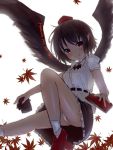  1girl artist_name autumn_leaves black_hair black_skirt black_wings blush book breasts camera feathered_wings frilled_skirt frills geta hat highres holding leaf leaf_background looking_at_viewer miniskirt panties pantyshot puffy_short_sleeves puffy_sleeves pyonsuke0141 red_eyes shameimaru_aya shirt short_hair short_sleeves sketch skirt small_breasts smile socks solo tengu-geta tokin_hat touhou underwear upskirt white_background white_panties white_shirt wings 