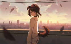  1girl absurdres animal_ears balcony black_choker black_hair blue_sky building choker cityscape closed_mouth clouds collared_shirt commentary_request dog_ears dog_girl dog_tail dot_mouth falling_leaves floppy_ears from_side gradient_sky grey_eyes hashtag-only_commentary high_up highres idolmaster idolmaster_shiny_colors jtangc kazano_hiori kemonomimi_mode leaf light_blush looking_at_viewer looking_to_the_side orange_sky shirt shorts sidelocks single_off_shoulder sky skyscraper sleeves_past_fingers sleeves_past_wrists solo sunset tail updo white_shirt white_shorts 