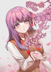  1girl amiably_02 brown_vest cherry_blossoms commentary fate/stay_night fate_(series) flower hair_ribbon highres holding holding_petal homurabara_academy_school_uniform long_hair long_sleeves looking_at_flowers matou_sakura neck_ribbon parted_lips petals pink_background pink_petals purple_hair red_ribbon ribbon school_uniform shirt solo vest violet_eyes white_shirt 