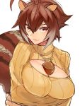  acorn animal_ears between_breasts blazblue breast_hold breasts brown_eyes brown_hair cleavage cleavage_cutout makoto_nanaya open-chest_sweater seductive_smile smile squirrel_tail sweater tail tomo_(tomorag7) 