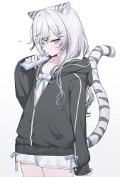  1girl absurdres animal_ear_fluff animal_ears black_jacket blue_ribbon blush collarbone commentary cowboy_shot dress facing_to_the_side from_side grey_eyes grey_hair hair_between_eyes hair_ornament hair_over_one_eye hair_over_shoulder hairclip hand_up head_down heart heart_hair_ornament highres holding holding_phone hood hood_down hooded_jacket jacket kohaku_sogo long_hair long_sleeves looking_at_viewer original partially_unzipped phone pout ribbon simple_background solo standing striped_clothes striped_jacket tail tiger_ears tiger_girl tiger_tail vertical-striped_clothes vertical-striped_jacket white_background white_dress white_hair x_hair_ornament zipper 