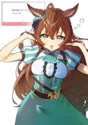  1girl animal_ears aqua_corset aqua_flower aqua_rose aqua_skirt blush braid breasts brown_hair center_frills commentary_request corset ear_ornament flower frills green_eyes hair_between_eyes highres horse_ears horse_girl horse_tail long_hair looking_at_viewer medium_breasts mejiro_bright_(brunissage_line)_(umamusume) mejiro_bright_(umamusume) open_mouth puffy_short_sleeves puffy_sleeves request_inset rose shirt short_sleeves side_braids simple_background skirt smile solo tail tetra_(ktet4_illu) umamusume white_background white_shirt 