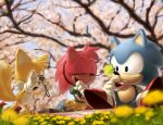  amy_rose butterfly camera cherry_blossoms flower laughing miles_prower picnic rasein sonic sonic_the_hedgehog tree 