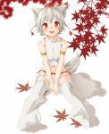  1girl :d alternate_costume animal_ears autumn_leaves hat inubashiri_momiji leaf looking_at_viewer maple_leaf navel open_mouth pleated_skirt red_eyes shiina_2265 short_hair silver_hair sitting skirt smile solo tail thigh-highs tokin_hat touhou v_arms wolf_ears wolf_tail zettai_ryouiki 
