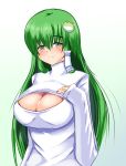 1girl blush breasts cleavage cleavage_cutout frog_hair_ornament green_eyes green_hair hair_ornament hair_tubes kochiya_sanae kuzunoha_kaede large_breasts long_hair open-chest_sweater sleeves_past_wrists smile solo sweater touhou turtleneck 
