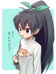  1girl animal_in_clothes antenna_hair black_hair blue_eyes cleavage_cutout flat_chest ganaha_hibiki hair_ribbon hamster hamuzou hiboshi_daizu idolmaster open-chest_sweater ribbed_sweater ribbon solo sweater translated turtleneck 