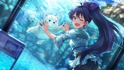 1girl ;d animal antenna_hair bear bear_cub blue_eyes blue_shirt card_commentary commentary_request dutch_angle earrings fang game_cg ganaha_hibiki hoop_earrings idolmaster idolmaster_(classic) idolmaster_million_live! idolmaster_million_live!_theater_days jewelry long_hair looking_at_viewer looking_back official_art one_eye_closed open_mouth polar_bear ponytail shirt smile solo standing third-party_source water zoo 