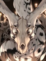  1girl animal_skull artist_name claws feet foot_focus furry furry_female highres kupa_(susiekyuu) original snow_leopard_tail solo spuydjeks tail white_fur 