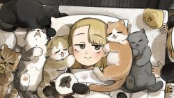  2girls baby_animal bird black_cat blonde_hair cat chicken chili_pepper clumsy_nun_(diva) commentary diva_(hyxpk) drooling duck duckling english_commentary from_above highres little_nuns_(diva) multiple_girls nun spicy_nun_(diva) tongue tongue_out too_many too_many_cats traditional_nun under_covers yellow_eyes 