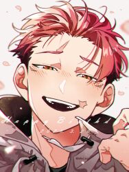  1boy black_hair black_shirt blush commentary_request dated drawstring english_text grey_jacket happy_birthday highres itadori_yuuji jacket jujutsu_kaisen male_focus multicolored_hair open_mouth oshel_357 petals pink_eyes pink_hair portrait scar scar_on_face shirt smile solo teeth two-tone_hair upper_teeth_only white_background 