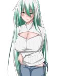  1girl bikini_jeans blush border_break breast_hold breasts character_request cleavage green_eyes green_hair half-closed_eyes highres large_breasts long_hair m.k._gtsl open-chest_sweater personification ribbed_sweater solo sweater very_long_hair 