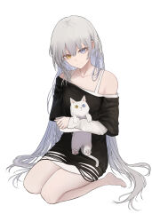  1girl absurdres alc.3vol alternate_hair_length alternate_hairstyle animal bang_dream! bang_dream!_it's_mygo!!!!! bare_shoulders barefoot black_shirt blue_eyes cat chinese_commentary closed_mouth clothing_cutout collarbone commentary_request full_body grey_hair hair_between_eyes hands_up heterochromia highres holding holding_animal holding_cat kaname_raana layered_sleeves long_hair long_shirt long_sleeves looking_at_viewer off-shoulder_shirt off_shoulder shirt short_sleeves shoulder_cutout simple_background sitting sleeves_past_wrists smile solo very_long_hair wariza white_background white_cat white_shirt yellow_eyes 