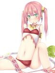  1girl arm_support arms_behind_back dancer_(sekaiju) green_eyes hair_ornament long_hair looking_at_viewer navel open_mouth pink_hair sekaiju_no_meikyuu sekaiju_no_meikyuu_4 simple_background sitting small_breasts solo syobonne twintails white_background 
