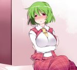  1girl ascot blush breasts commentary_request green_hair hammer_(sunset_beach) kazami_yuuka large_breasts looking_at_viewer plaid plaid_skirt plaid_vest red_eyes short_hair skirt skirt_set solo touhou translation_request 