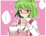  1girl ascot blush breast_grab breasts bust commentary_request green_hair hammer_(sunset_beach) kazami_yuuka large_breasts plaid plaid_vest red_eyes short_hair simple_background solo_focus touhou translation_request 