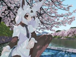  1girl animal_ears arabian_oryx_(kemono_friends) baroy_baroro black_hair black_necktie black_pantyhose black_shirt blue_necktie blush boat brown_eyes brown_hair brown_pantyhose cherry_blossoms collared_shirt commentary_request day extra_ears grey_necktie kemono_friends lake layered_sleeves long_hair long_sleeves looking_at_viewer multicolored_hair necktie outdoors pantyhose pleated_skirt river shirt short_over_long_sleeves short_sleeves sidelocks sitting skirt solo striped_clothes striped_necktie tail two-tone_hair two-tone_shirt watercraft white_hair white_necktie white_shirt white_skirt 