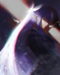  1girl absurdres black_shirt blunt_bangs butterfly_hair_ornament commentary english_commentary fern_(sousou_no_frieren) from_side hair_ornament half_updo highres light_particles long_hair no_eyes nosori purple_hair shirt sousou_no_frieren 