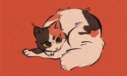  animal animal_focus body_fur brown_fur calico_(pattern) calico_cat cat colored_sclera highres lying multicolored_fur no_humans on_stomach orange_background orange_fur original oto_animal simple_background solo whiskers yellow_sclera 