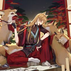  animal_ear_fluff animal_ears bead_necklace beads black_gloves black_haori blue_rope brown_hair candle commentary_request earrings elbow_on_knee elbow_rest eyeshadow facing_animal fang fingerless_gloves full_body fushimi_gaku fushimi_gaku_(5th_costume) gloves gradient_haori haero hair_between_eyes hakama haori highres holding holding_smoking_pipe indoors japanese_clothes jewelry kiseru korean_commentary long_hair long_skirt magatama magatama_necklace makeup male_focus necklace night nijisanji no_shoes noses_touching official_alternate_costume official_alternate_hairstyle open_mouth paw_print pleated_skirt red_eyeshadow red_hakama red_haori red_sash red_trim rope sash scroll shouji sitting skirt sliding_doors smile smoking_pipe socks star_(sky) sunset surrounded tabi three-quarter_sleeves tree two-tone_haori virtual_youtuber white_socks wide_sleeves wolf wolf_boy wolf_ears wooden_floor 
