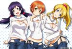  3girls ayase_eli blonde_hair blue_eyes blush breasts cleavage cleavage_cutout collage contrapposto cowboy_shot denim green_eyes head_tilt hoshizora_rin jeans jewelry large_breasts looking_at_viewer love_live!_school_idol_project low_twintails lowleg lowleg_pants mound_of_venus multiple_girls necklace open-chest_sweater orange_hair pants paw_pose ponytail purple_hair ribbed_sweater scrunchie shiroyasha short_hair small_breasts sweater toujou_nozomi turtleneck twintails yellow_eyes 