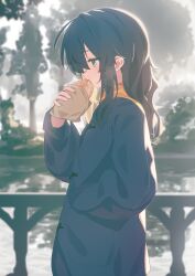  1girl absurdres black_coat black_hair breath coat commentary cowboy_shot day eating from_side green_eyes hand_in_pocket highres holding_bread hoplitx lake long_hair looking_ahead orange_scarf original outdoors profile railing scarf solo tree water 