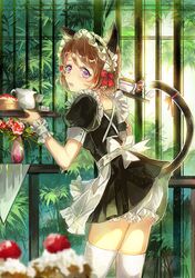  1girl animal_ears apron black_dress brown_hair cake cat_ears cat_tail dress flower food kemonomimi_mode koizumi_hanayo love_live!_school_idol_project maid puffy_short_sleeves puffy_sleeves short_sleeves solo tail tears tray vima violet_eyes waist_apron 