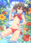  1girl bikini black_hair cowboy_shot flower highres kame^^ looking_at_viewer love_live!_school_idol_project partially_submerged petals red_bikini red_eyes side-tie_bikini small_breasts smile solo swimsuit twintails wading water yazawa_nico 
