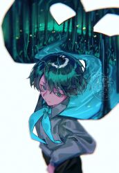  1girl absurdres antennae black_shirt blue_neckerchief bug cape chayo_bababa collared_shirt commentary cowboy_shot english_commentary firefly forest green_eyes green_hair highres long_sleeves looking_at_viewer nature neckerchief print_cape river shirt short_hair solo touhou twitter_username watermark white_shirt wriggle_nightbug 