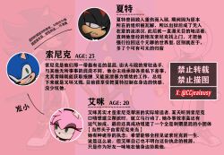  amy_rose asymmetrical_legwear beretta_92 black_skirt character_profile chinese_commentary chinese_text column_lineup commentary_request crowbar czy_(2894456992) eyelashes furry furry_female furry_male gloves green_eyes grin gun half-closed_eyes hammer hand_on_own_hip handgun hedgehog_boy hedgehog_girl highres holding holding_crowbar jacket makeup miniskirt pants pink_shoes pointing pointing_down red_eyes red_shoes shadow_the_hedgehog shoes single_thighhigh skirt smile sneakers sonic_(series) sonic_the_hedgehog thigh-highs track_jacket track_pants track_suit translation_request twitter_username watermark weapon white_gloves 