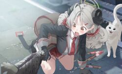  1girl ahoge all_fours backpack bag black_gloves black_jacket blue_archive blush cat ciao_churu collared_shirt curled_horns drill_hair fallen_down fluffy_hair from_above game_asset gloves grey_hair hair_ornament hairclip halo highres horns izumi_(blue_archive) jacket kneeling looking_at_another mx2j necktie non-web_source official_art open_mouth outdoors pavement pet_food pleated_skirt red_necktie red_skirt road school_uniform self-datamine sheep_horns shirt short_hair skirt sleeve_cuffs solo surprised sweat tabby_cat white_cat white_shirt yellow_eyes yellow_halo 