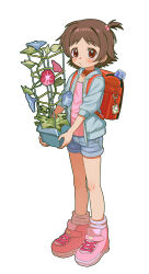  1girl absurdres backpack bag blue_hoodie blush brown_eyes brown_hair charm_(object) child commentary_request denim denim_shorts flower flower_pot full_body funifuchan hair_bobbles hair_ornament highres holding hood hoodie leaf looking_at_viewer morning_glory open_clothes open_hoodie original pink_shirt plant polka_dot potted_plant randoseru red_bag shirt shoes short_hair shorts side_ponytail simple_background sneakers socks solo standing tsubame-chan_(funifuchan) white_background 