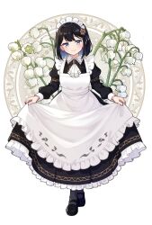  1girl apron apron_hold ascot black_dress black_hair black_pantyhose black_shoes blue_eyes blue_hair blunt_ends blush bob_cut closed_mouth colored_inner_hair commentary_request dress floral_background flower frilled_apron frilled_dress frills full_body hair_ribbon hair_rollers highres holding_own_dress juliet_sleeves long_dress long_sleeves looking_at_viewer maid maid_day maid_headdress mary_janes morugen multicolored_hair original pantyhose puffy_sleeves purple_ribbon ribbon shoes short_hair smile solo standing two-tone_hair white_apron white_ascot white_background white_flower 