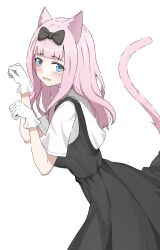  1girl absurdres animal_ears bekkuro black_bow black_dress blue_eyes blunt_bangs bow cat_ears cat_girl cat_tail commentary_request cowboy_shot dress from_side fujiwara_chika gloves hair_bow hands_up highres kaguya-sama_wa_kokurasetai_~tensai-tachi_no_renai_zunousen~ kemonomimi_mode light_blush long_hair looking_at_viewer open_mouth paw_pose pinafore_dress pink_hair pink_tail school_uniform shirt shuuchiin_academy_school_uniform simple_background sleeveless sleeveless_dress smile solo summer_uniform tail white_background white_gloves white_shirt 