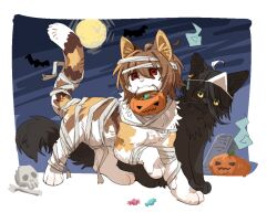  aaasakawa agnes_tachyon_(umamusume) ahoge animal animal_focus animal_with_hair bandages bat_(animal) black_cat calico_(pattern) calico_cat candy cat chinese_commentary commentary_request food full_moon halloween_bucket highres manhattan_cafe_(umamusume) moon mouth_hold mummy_costume no_humans recursive_animalization red_eyes skull triangular_headpiece umamusume yellow_eyes 