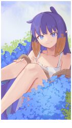  1girl absurdres blue_flower blunt_bangs brown_cardigan cardigan closed_mouth commentary day dress fang flower gradient_hair highres hololive hololive_english knees_together_feet_apart long_hair looking_at_viewer mole mole_under_eye multicolored_hair ninomae_ina'nis off_shoulder orange_hair outdoors pointy_ears purple_hair sidelocks sitting skin_fang smile solo straight_hair tentacle_hair tentacleluver very_long_hair violet_eyes virtual_youtuber white_dress 