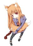  brown_hair fang holo long_hair natsuki_yuu red_eyes solo spice_and_wolf tail wolf_ears wolf_tail 