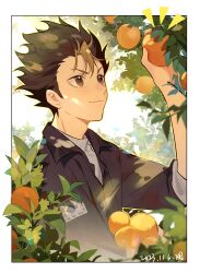  1boy :3 absurdres arm_up black_hair black_jacket blurry bokeh border brown_eyes chinese_commentary closed_mouth colored_bangs commentary_request dappled_sunlight dated day depth_of_field emphasis_lines foliage food fruit grey_shirt haikyuu!! highres holding holding_food holding_fruit jacket light_smile looking_up male_focus nishinoya_yuu orange_(fruit) outdoors outline picking_fruit shirt short_hair signature sleeves_rolled_up solo spiky_hair sunlight three-quarter_sleeves turtleneck turtleneck_shirt upper_body v-shaped_eyebrows white_border wing_collar yellow_outline yilansideless 